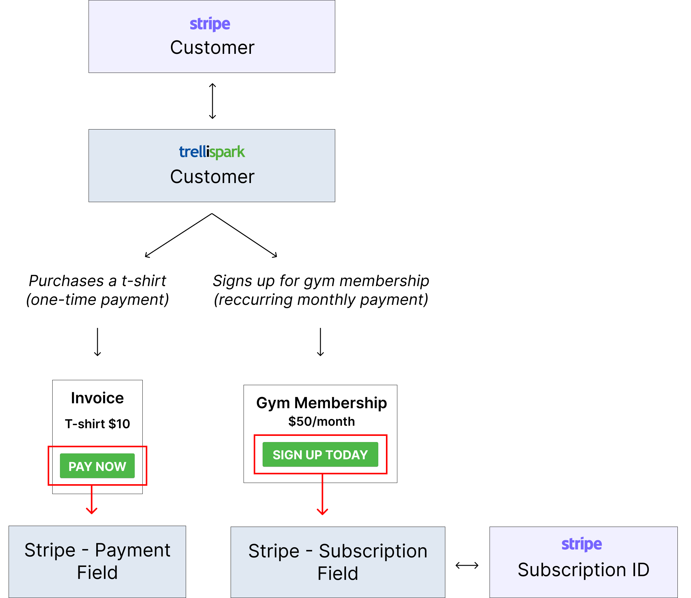 Diagram of the components involving a Stripe Payment and a Stripe Subscription